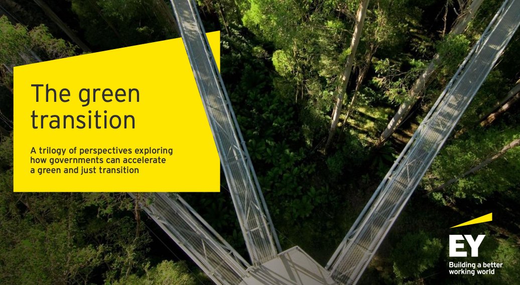 The Green Transition